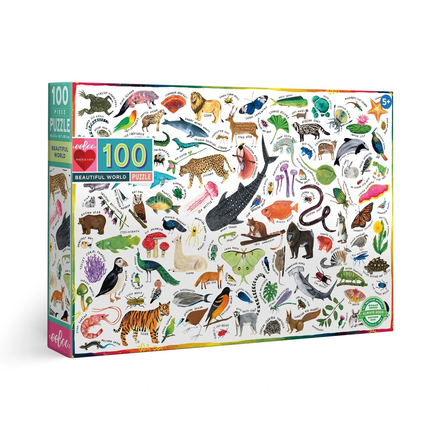 Beautiful World 100 Piece Puzzle