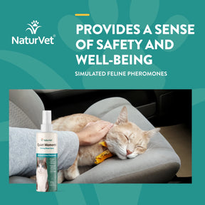 Quiet Moments Calming Spray for Cats