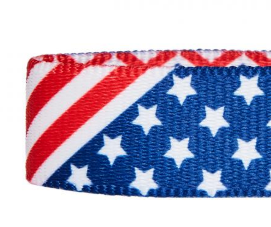 American Flag Dog Collar by Blueberry Pet-Southern Agriculture