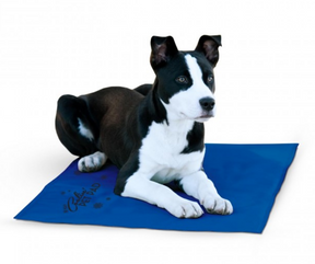 Coolin' Pet Pad-Southern Agriculture