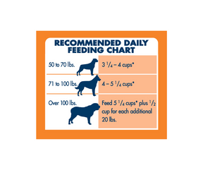 Blue Buffalo Life Protection Formula - Large Breed, Adult Dog Chicken and Brown Rice Recipe Dry Dog Food-Southern Agriculture