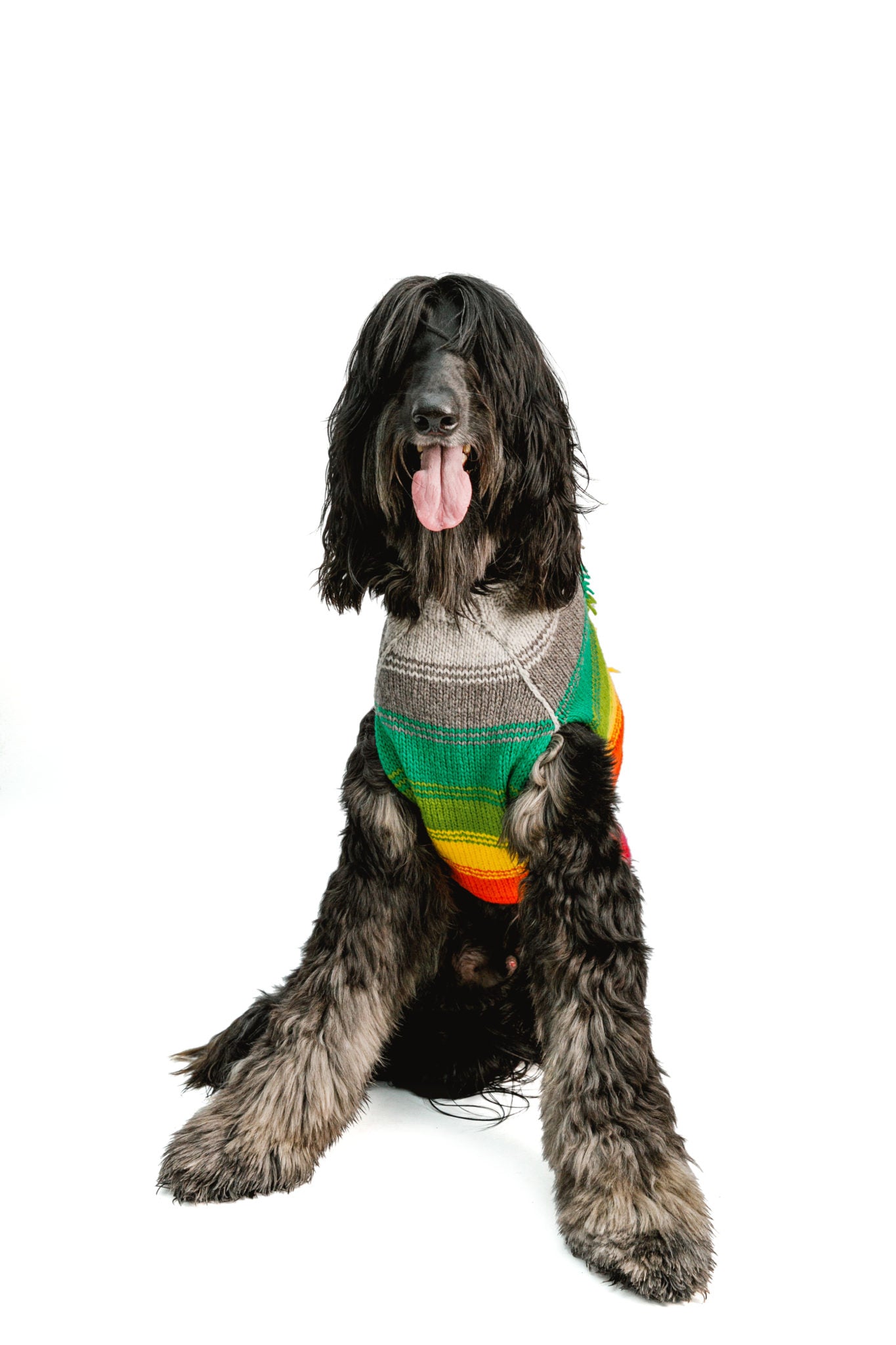 Dog Sweater Rainbow Mohawk