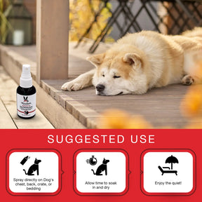 Warren London - Essential Oil Dog Calming Spray