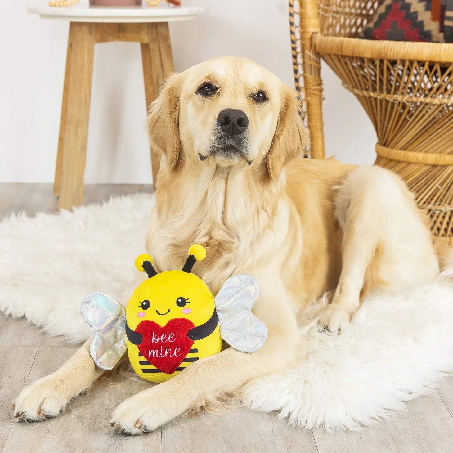 Petshop by Fringe Studio - Buzzing For You Dog Toy