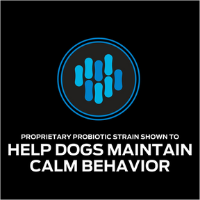 Calming Care Canine Probiotic Supplement