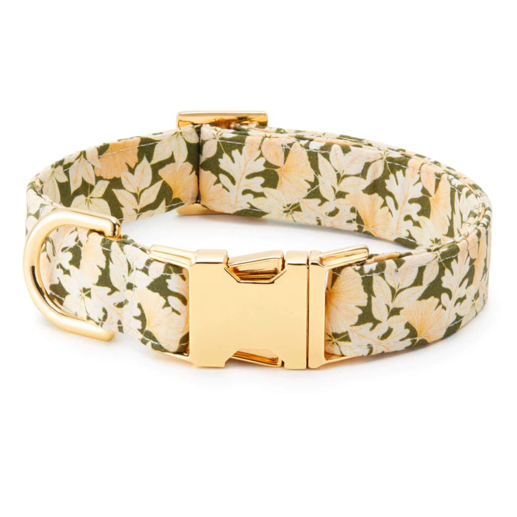 Dog Collar Autumn Leaves