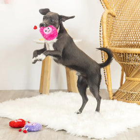 Petshop by Fringe Studio - Love Connection Dog Toy