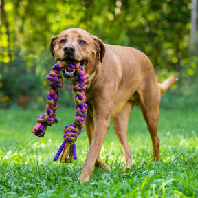 Dharma Dog - Dog Toy Knotted Rope Pull Navy/Green