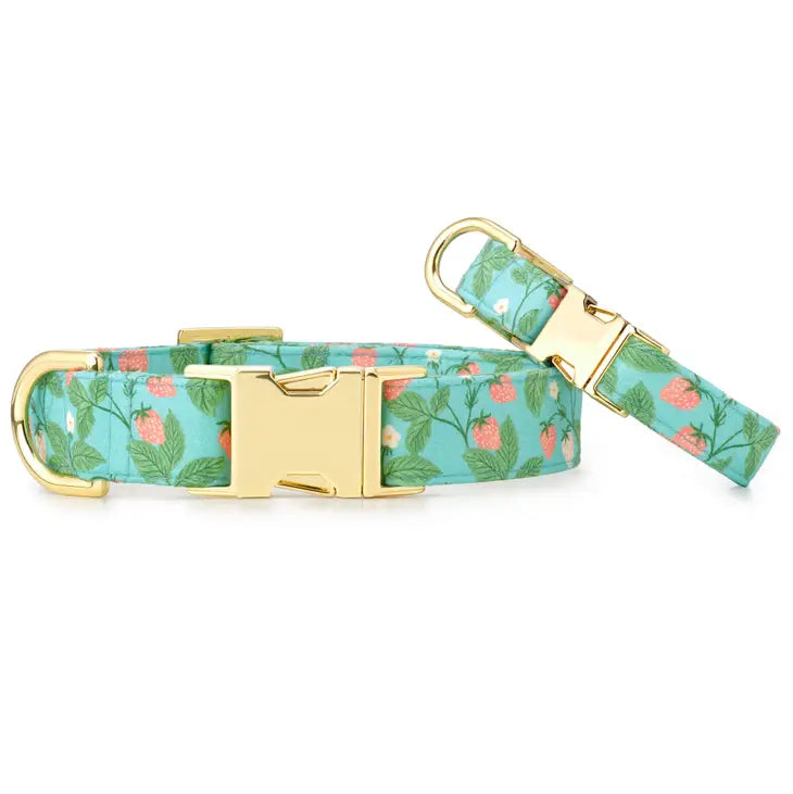 Dog Collar Berry Patch