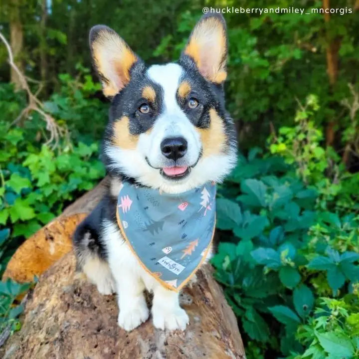 Lucy & Co - Bandana Take A Hike