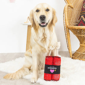 Petshop by Fringe Studio - Dog Toy Your Dynamite