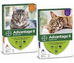 Advatage ll 6-pack - Southern Agriculture