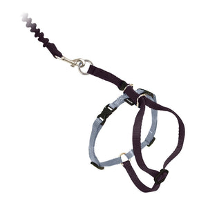 Come With Me Kitty Harness & Bungee Lead-Southern Agriculture