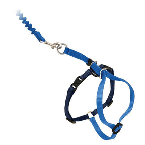 Come With Me Kitty Harness & Bungee Lead-Southern Agriculture