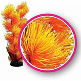 Orange Pom Pom Aquarium Plant-Southern Agriculture