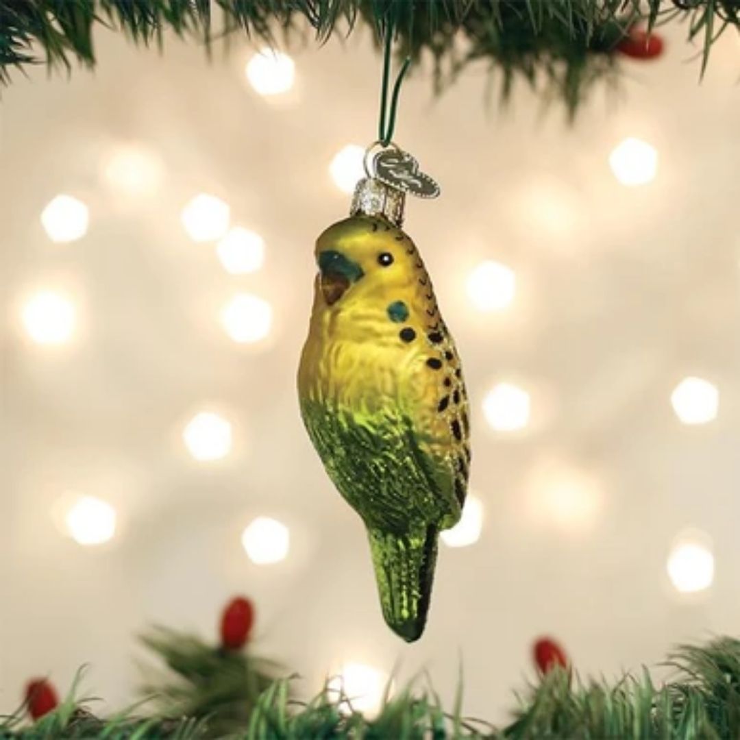 Old World Christmas - Miniature Parakeet Ornament-Southern Agriculture