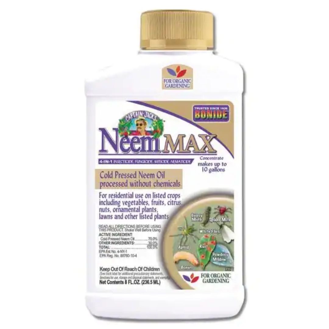 Bonide Captain Jack's Neem Max Concentrate