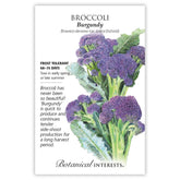 Broccoli Burgundy Seeds