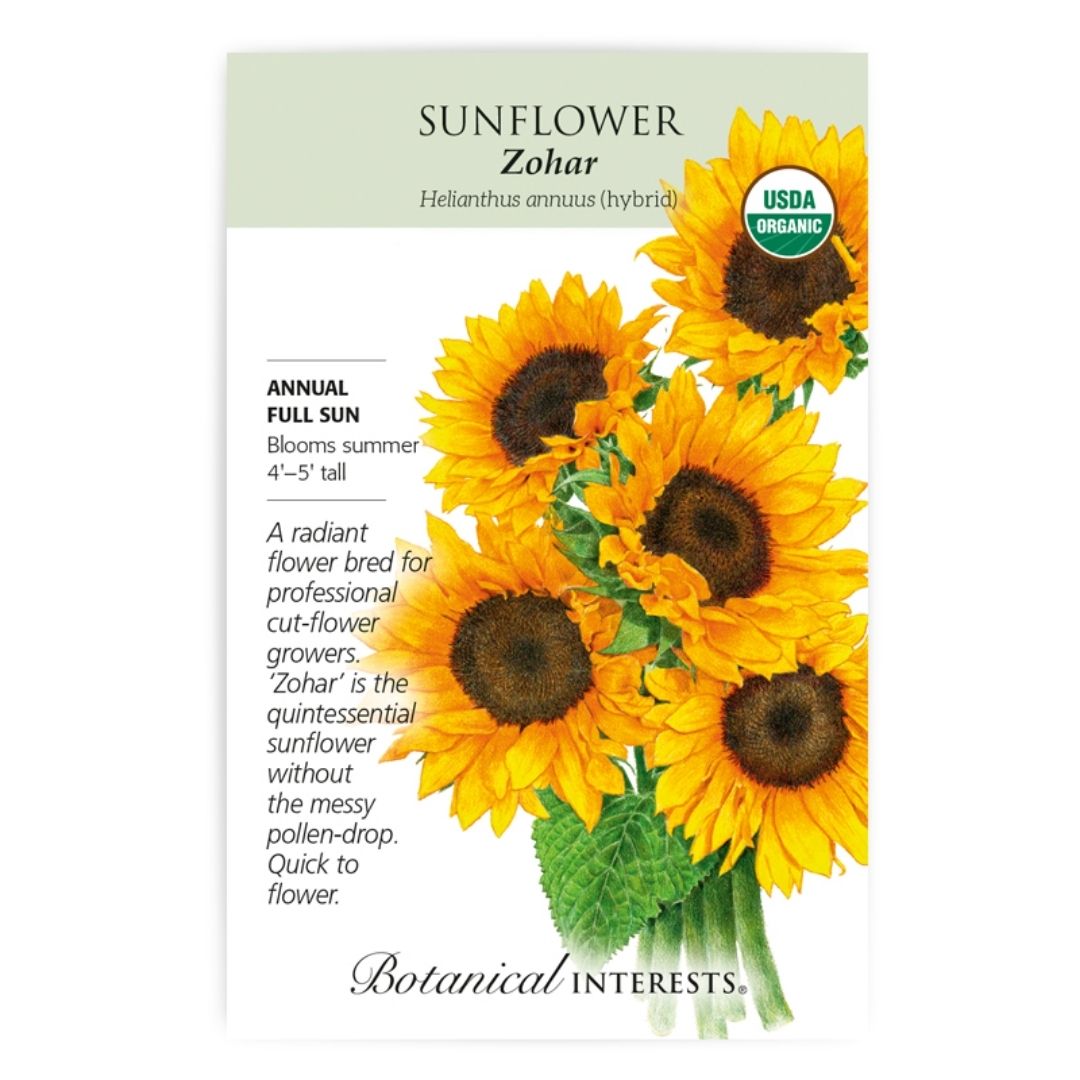 Sunflower Zohar Hybrid Organic Seeds