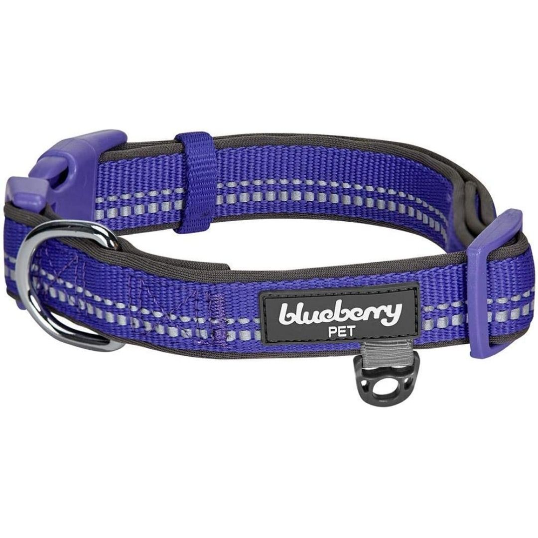 Violet | 3M Reflective Padded Dog Collar