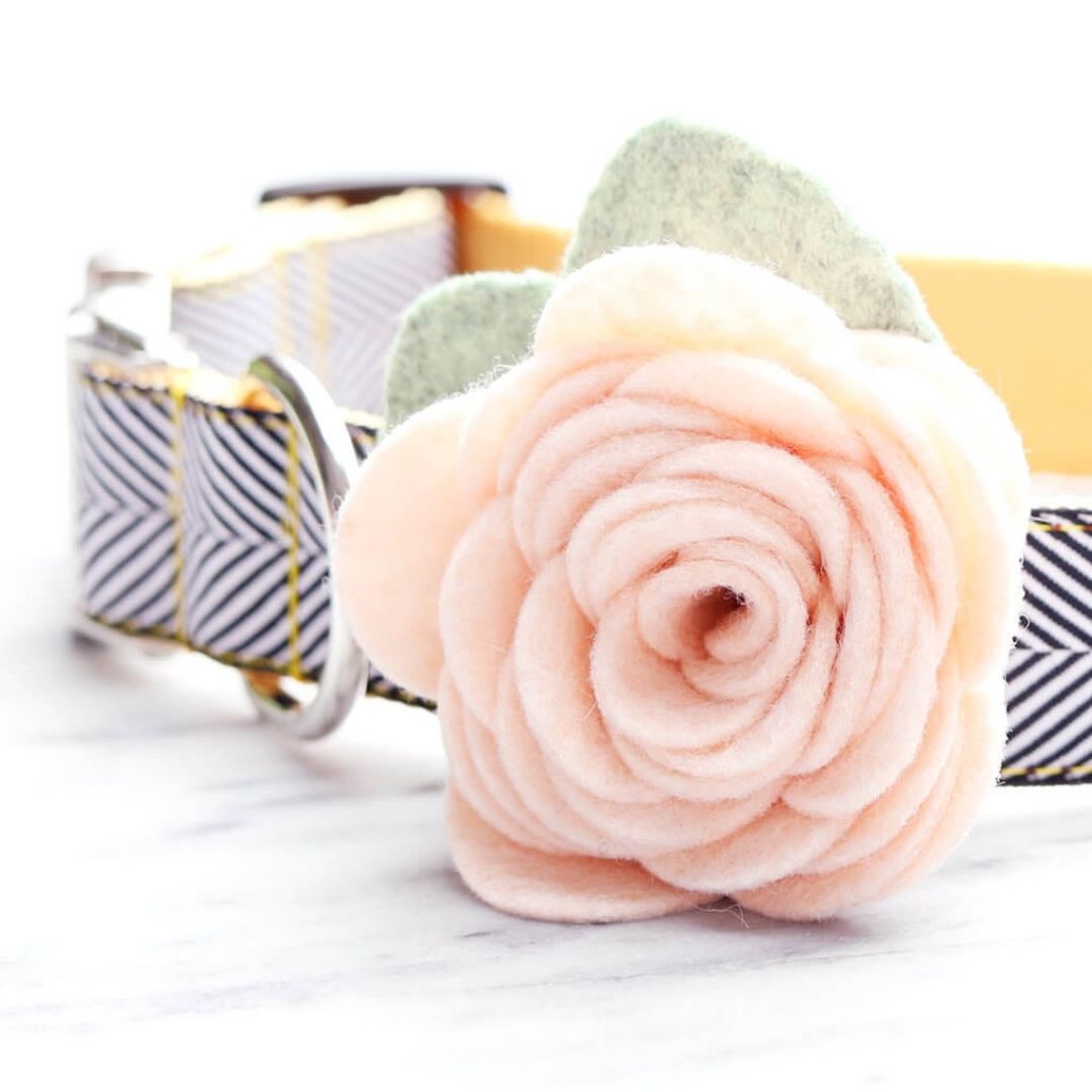 Mimi Green - Dog Collar Rose Flower Attachment