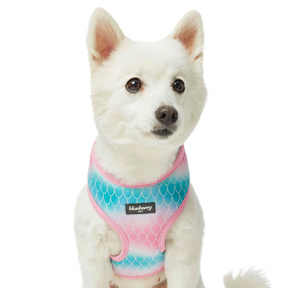 Mermaid Scales | Enchanting Sea Dog Harness Vest