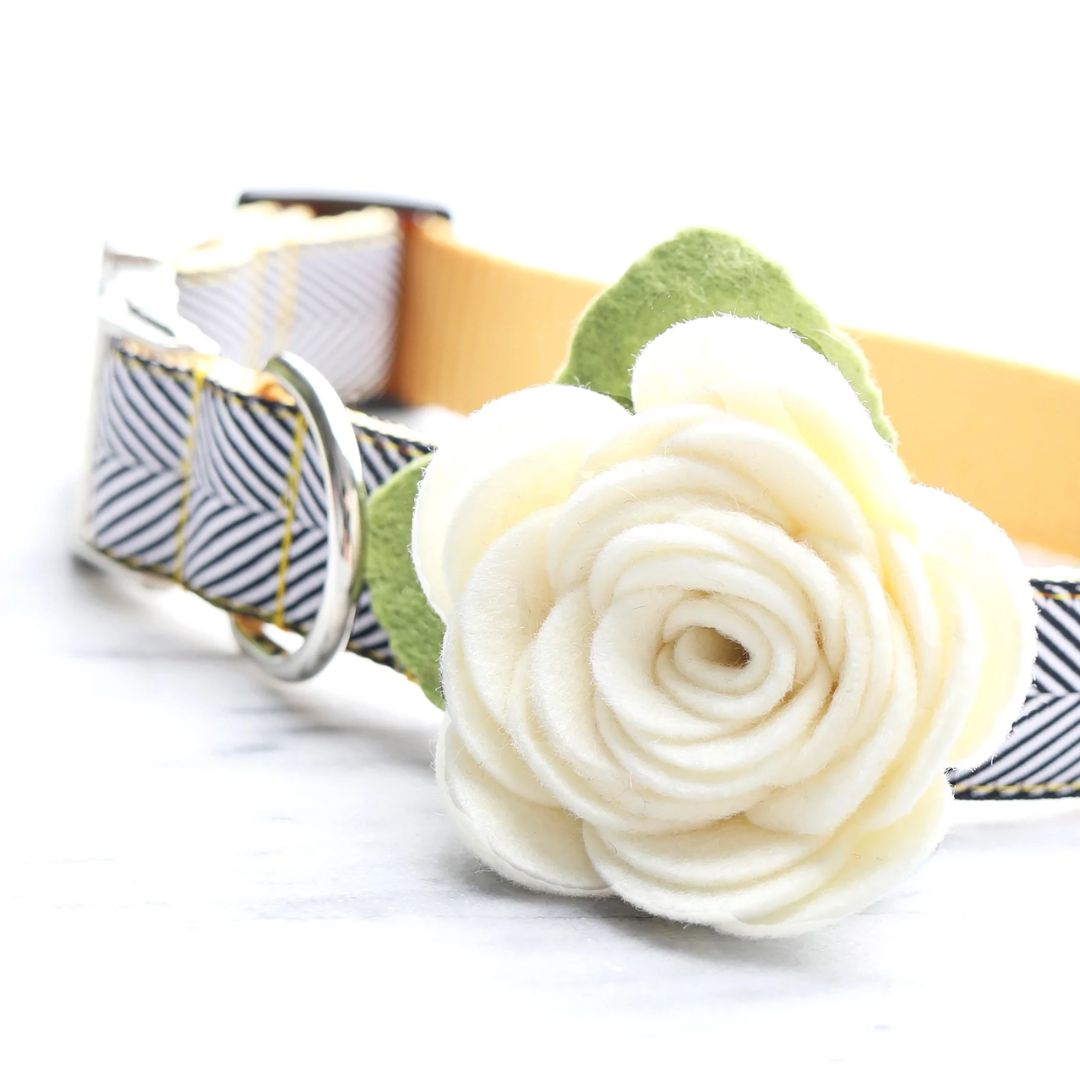 Mimi Green - Dog Collar Rose Flower Attachment