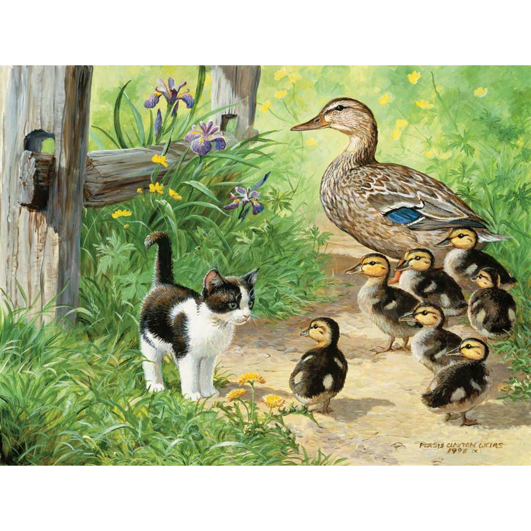 Duck Inspector Puzzle