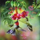 Summer Hummer Puzzle