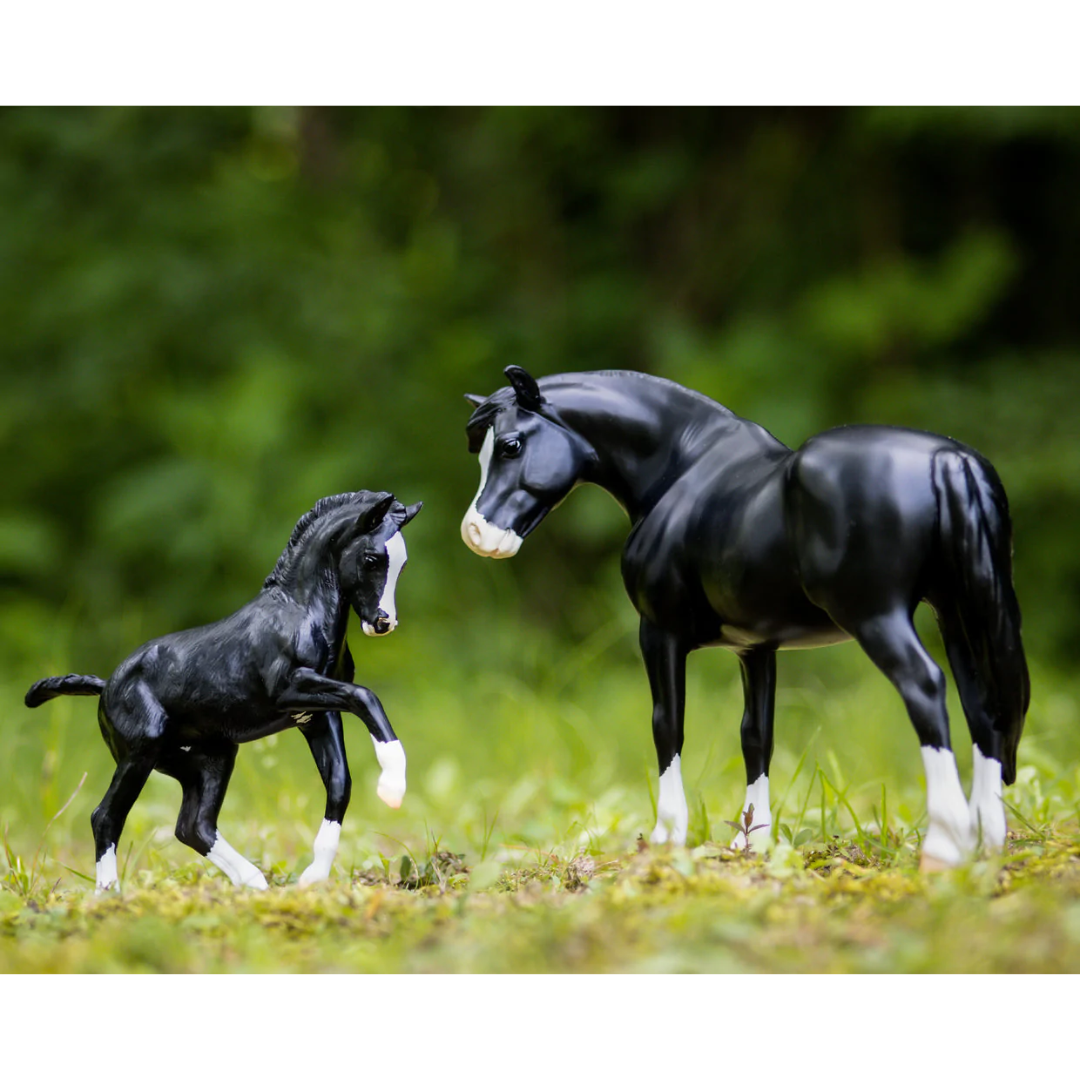 Breyer - Nistar Blazing Kansas LOM & GTF Blazing Ethel