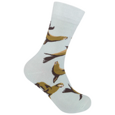 Funatic - Sea Lions Socks