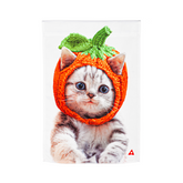 Cat With A Pumpkin Hat Garden Satin Flag