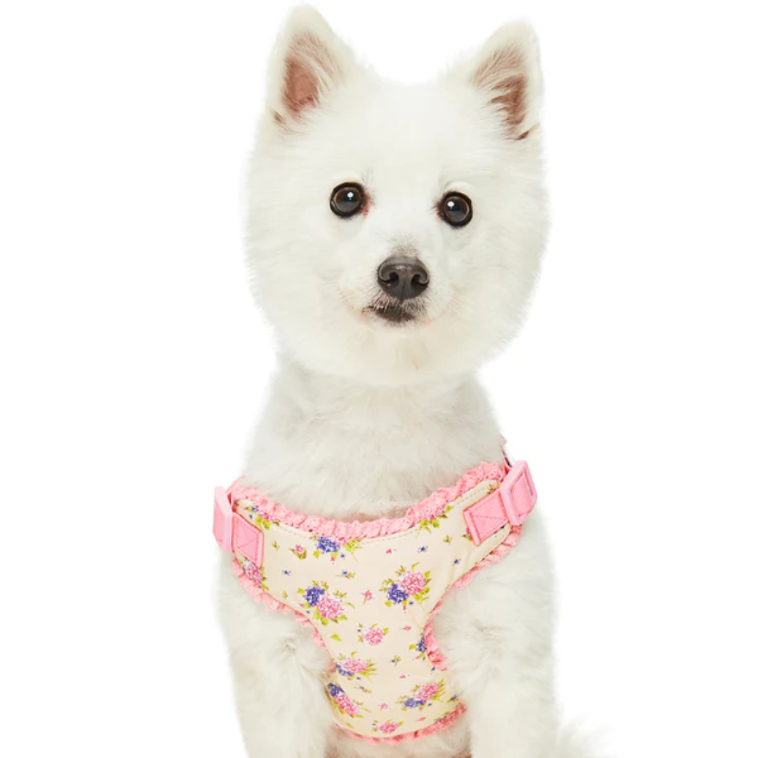 Beige | Spring Balloon Flower Dog Harness