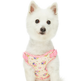 Beige | Spring Balloon Flower Dog Harness