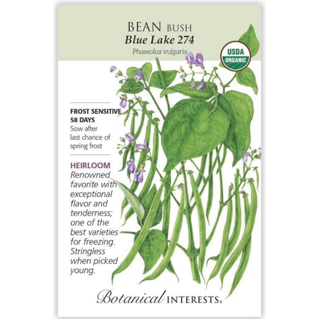 Bean Bush Blue Lake 274 Seeds Seeds