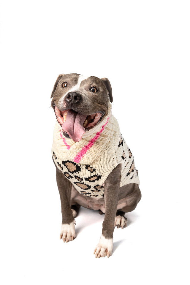 Dog Sweater Leopard