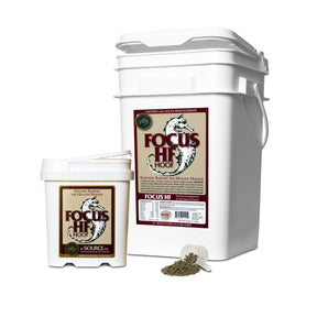 Source - Focus HF Horse Supplements