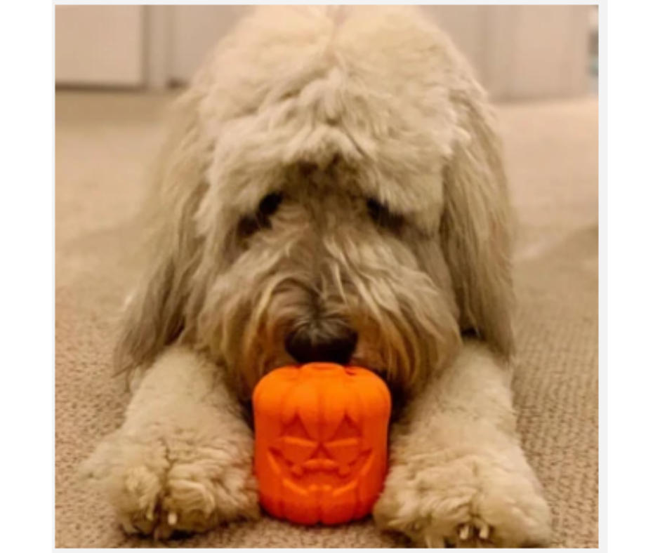 SodaPup - MBK Jack O'Lantern Durable Dog Chew Toy With Treat Insert. Dog Toy.-Southern Agriculture