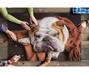 English Bulldog Puzzle 1000 Piece by Lantern Press-Southern Agriculture