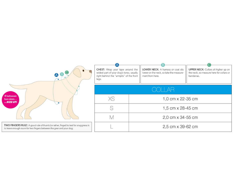 Max and Molly Smart ID Donuts Adjustable Dog Collar-Southern Agriculture