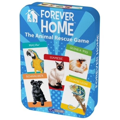 Forever Home Animal Rescue Game-Southern Agriculture