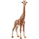 Schleich Giraffe Female-Southern Agriculture