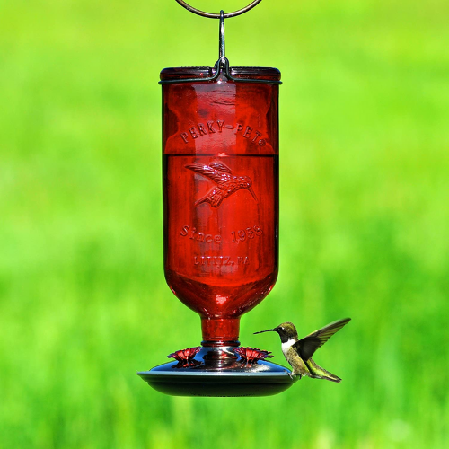 Perky Pet Antique Bottle Hummingbird Feeder-Southern Agriculture