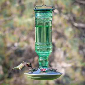 Perky Pet Antique Bottle Hummingbird Feeder-Southern Agriculture