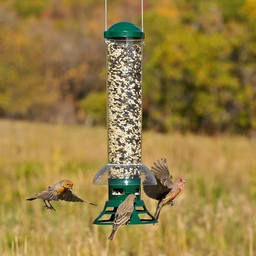 Perky Pet Squirrel-Be-Gone Squirrel Slammer Bird Feeder-Southern Agriculture